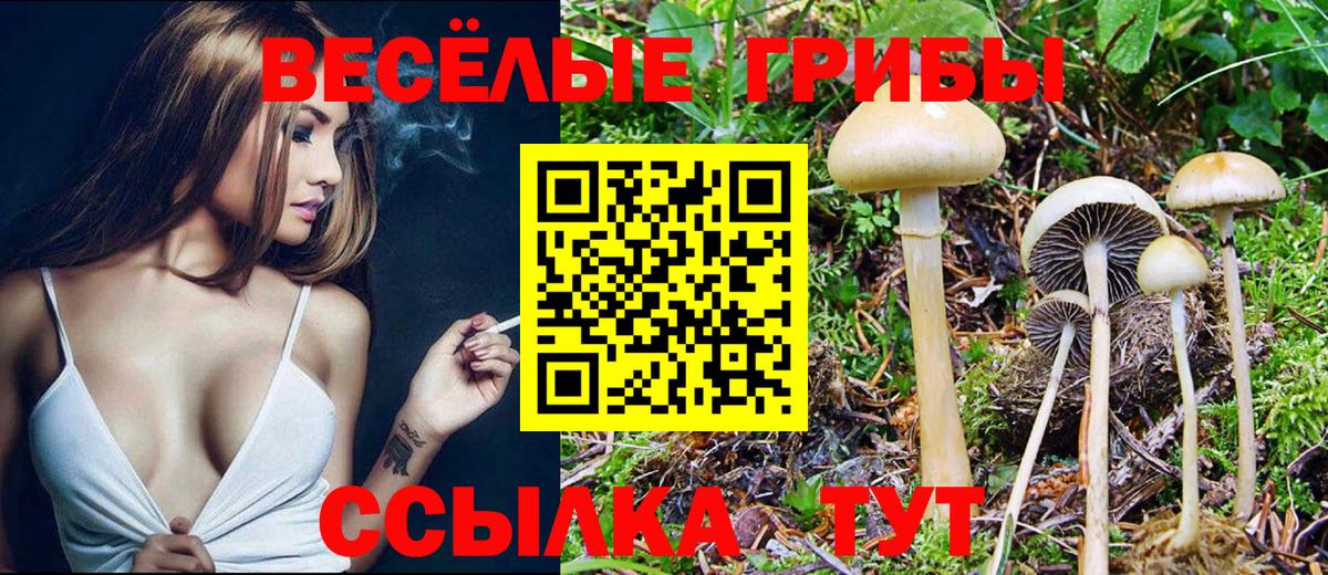Галлюциногенные грибы Cubensis Киреевск