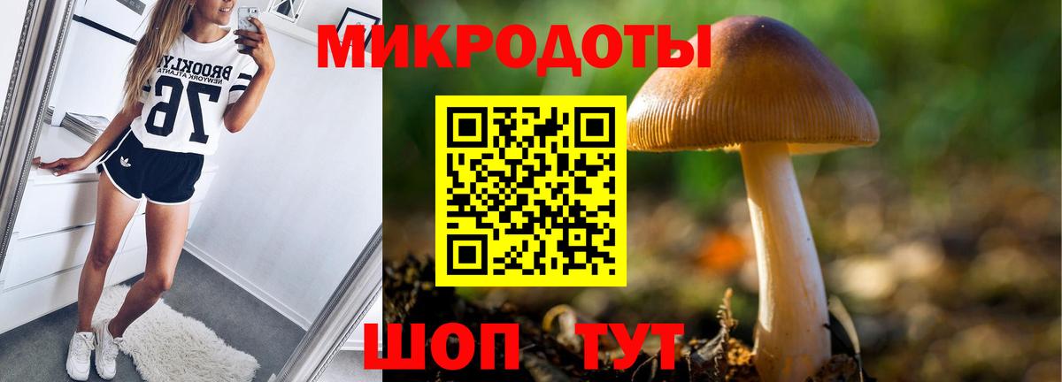 Галлюциногенные грибы Psilocybe  Вход с VPN  Киреевск 