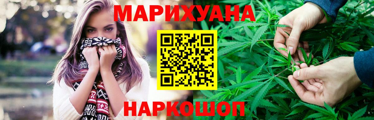 Конопля гибрид  Вход с VPN  Киреевск  Каннабис сатива 